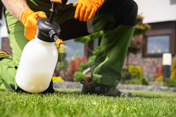 Flea Control Services in Newberry, SC