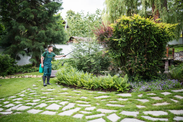 Best Ant Control Services  in Newberry, SC