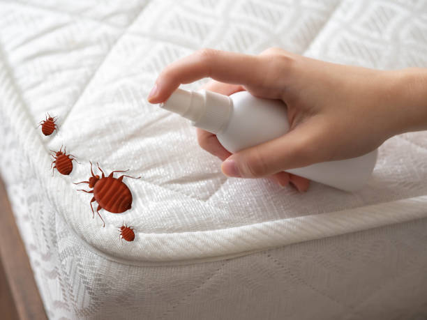 Best Pest Inspection Near Me  in Newberry, SC