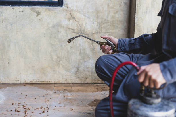 Best Local Pest Control Services  in Newberry, SC