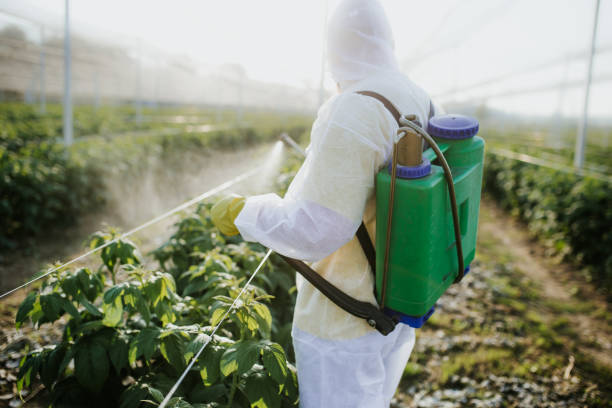 Trusted Newberry, SC Pest Control Experts